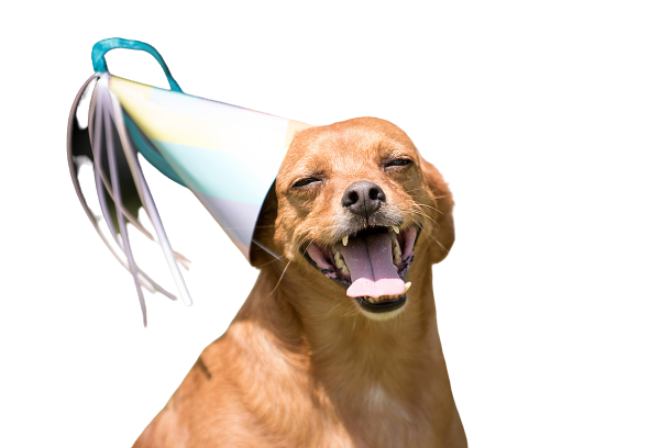 Completed hound reminder